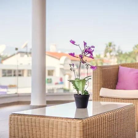 Napian 4* أيا نابا